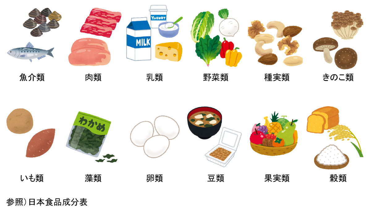 日本食品成分表を参照し、魚介類、肉類、乳類、野菜類、種実類、キノコ類、いも類、藻類、卵類、豆類、果実類、穀類の例をイラストで示した図。