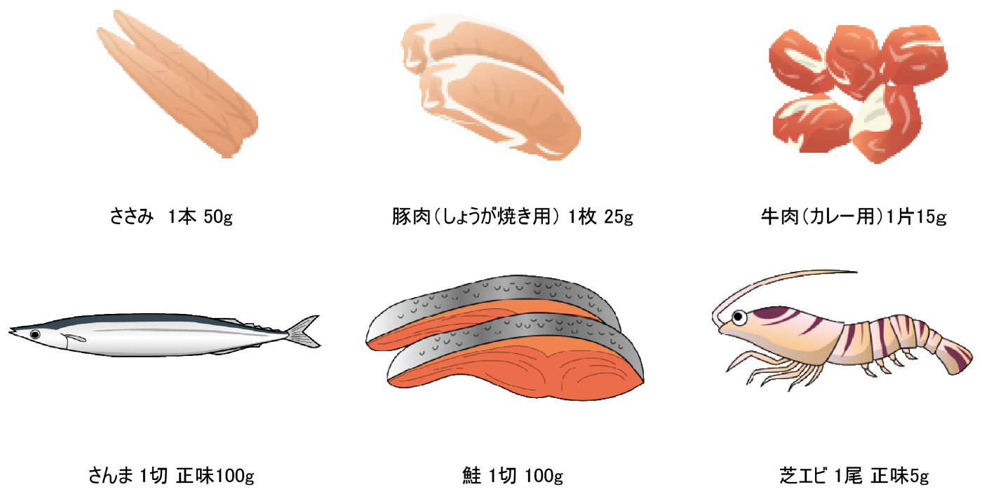 食品の摂取量の目安表。ささみ1本50g、生姜焼き用豚肉1枚25g、カレー用牛肉一片15g、サンマ一切正味100g、鮭一切れ100g、芝エビ1尾正味5g