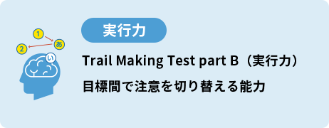 Trail Making Test part B（実行力）目標間で注意を切り替える能力