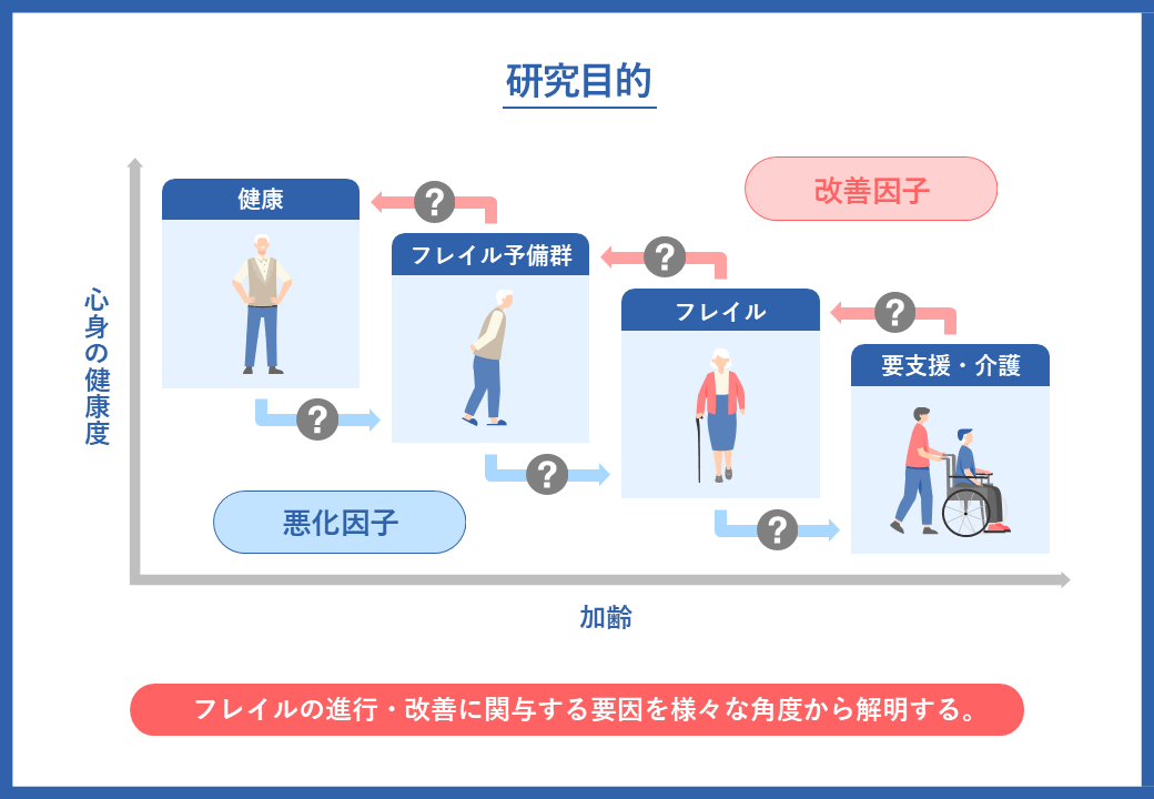 研究目的はフレイルの進行・改善に関与する要因を様々な角度から解明すること