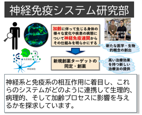 神経免疫システム研究部ポスター