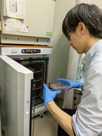 CO2インキュベーター