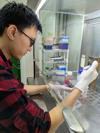 クリーンベンチ内で作業中