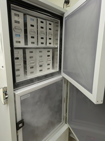 -80℃フリーザー