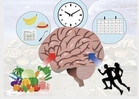 統合神経科学研究部