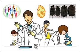 分子基盤研究部