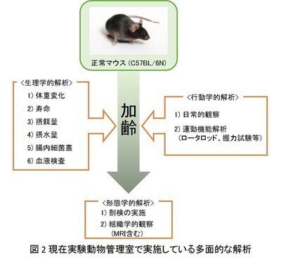 実験動物管理室 国立長寿医療研究センター