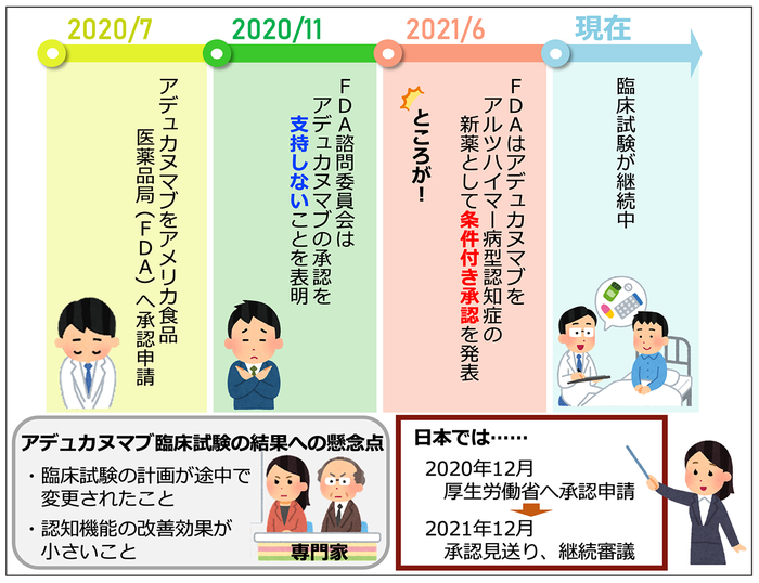 アデュカヌマブは2020年7月にFDAに承認申請が出された。 FDA諮問委員会は，臨床試験の最終解析データを元にアデュカヌマブの承認を支持しないことを表明したが，一転，FDAは 2021年6月，アデュカヌマブをアルツハイマー病型認知症の新薬として条件付き承認した。