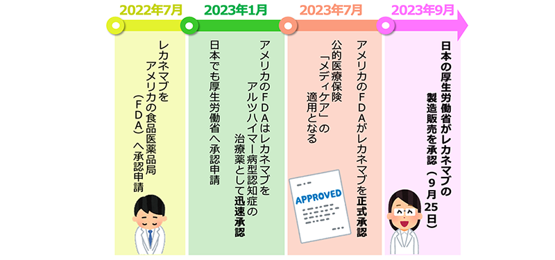 レカネマブは，2022年7月に米国FDAへ承認申請され，翌年2023年の1月に迅速承認，同年7月に正式承認された。日本では2023年の1月に厚生労働省に承認申請され，同年9月に製造販売が承認された。