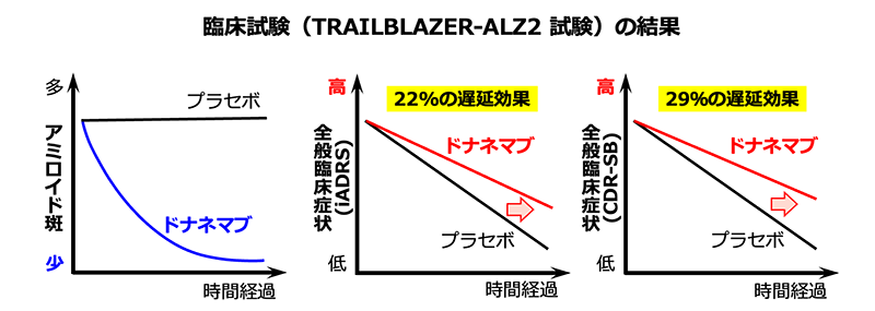 ドナネマブの臨床試験では，プラセボと比較して，アミロイド班の顕著な減少と，iADRSやCDR-SBという指標で評価する全般臨床症状の悪化の遅延効果が認められた。