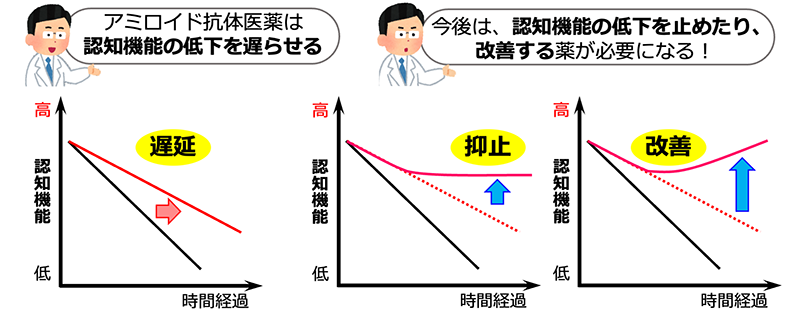 アミロイド抗体医薬は，認知機能の低下を遅らせるが，今後は，抗アミロイド抗体医薬に加えて，認知機能の低下を完全にとめる，さらには回復を促すことを可能にする治療薬の開発が望まれる。