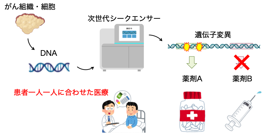 個別化医療の仕組み