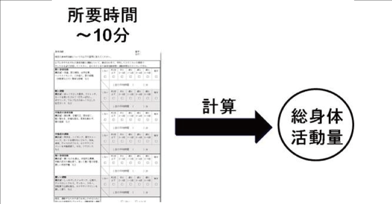 手軽な国際的ライフスタイル質問票日本語版を開発ー身体活動量の数値化