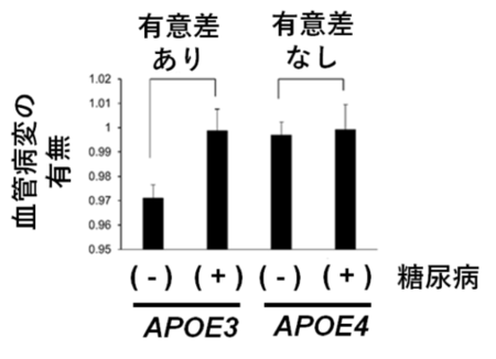 図２．APOE遺伝子型および糖尿病の血管病変への影響