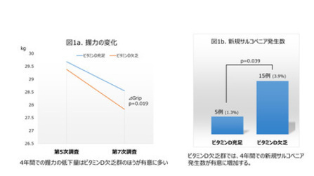 図1a：握力の変化（4年間での握力の低下量はビタミンD欠乏群の方が有意に多い）図1b：新規サルコペニア発生数（ビタミンD欠乏群では、4年間での新規サルコペニア発生数が有意に増加する）