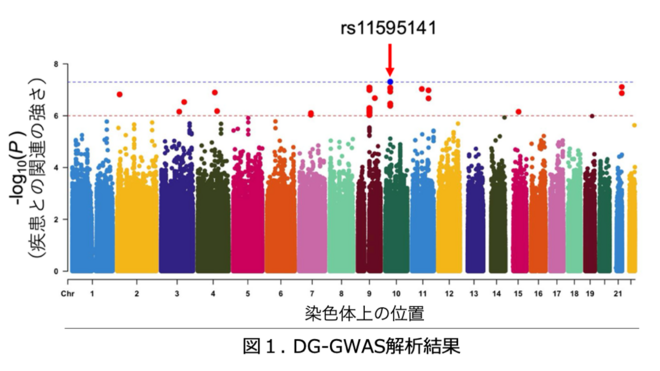図1. DG-GWAS解析結果