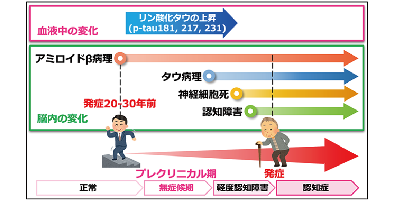 伝染性疾患予防の原理 オス化遺伝子、「環状DNA」に載りX染色体へ移動か Y染色体ない
