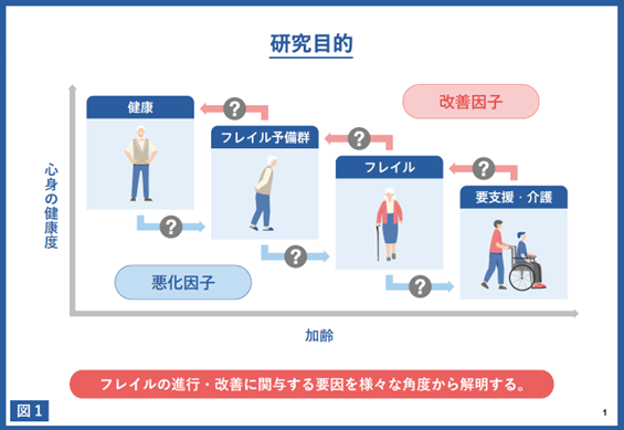 健康、フレイル予備群、フレイル、要支援・介護間の移行に関連する要因を様々な角度から解明することを目的とします