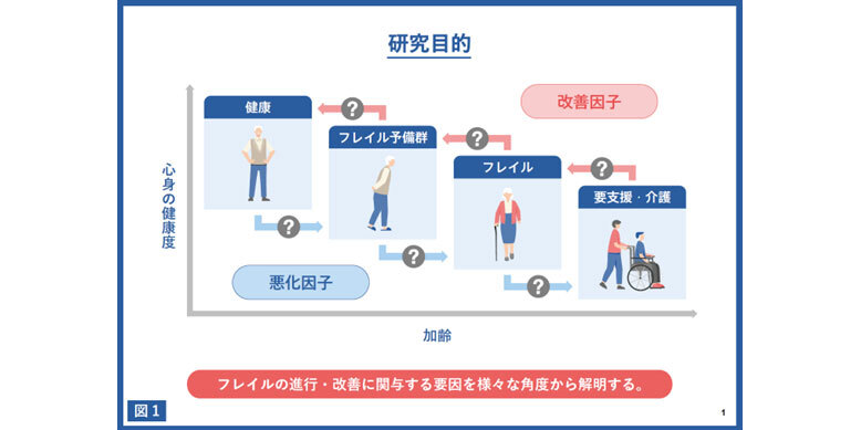 「図解」整体健康法 : 体の不調・病気を改善する! ヨドバシ.com - 図解 整体健康法―体の不調・病気を改善する